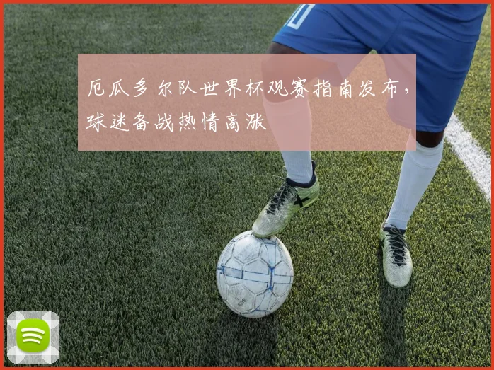 厄瓜多尔队世界杯观赛指南发布,球迷备战热情高涨