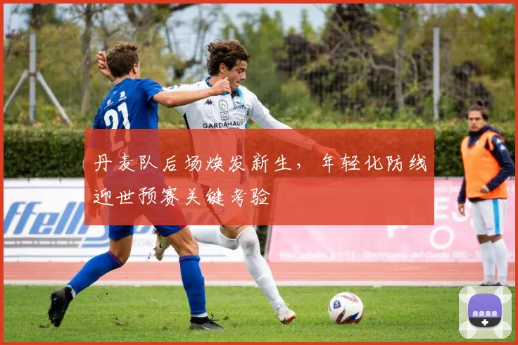 丹麦队后场焕发新生，年轻化防线迎世预赛关键考验