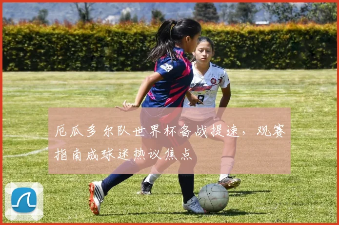 厄瓜多尔队世界杯备战提速，观赛指南成球迷热议焦点
